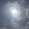 dark_daylight dark_daylight